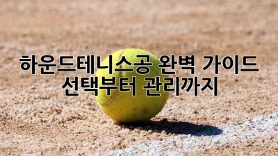 🎾 하운드테니스공 완벽 가이드: 선택부터 관리까지! 🐶